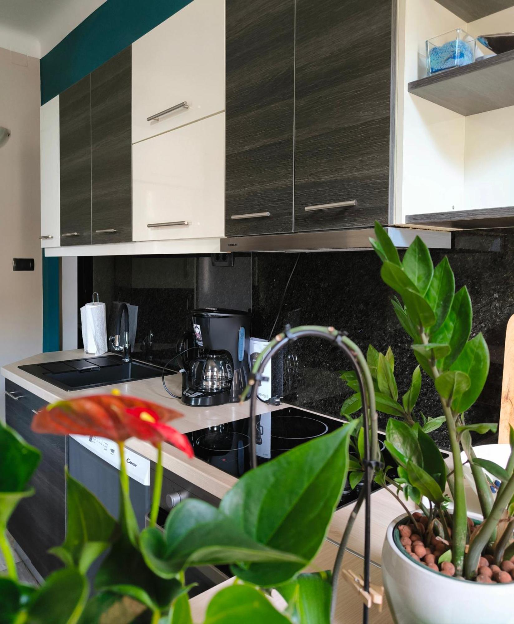 Urban Villa Apartment Opatija Extérieur photo